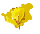 Ball 5